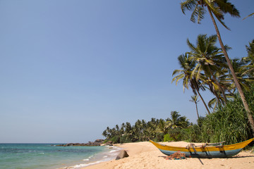  Beautiful beach with palm trees and boulders on the tropical island of Sri Lanka. 