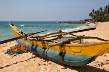  Beautiful beach with palm trees and boulders on the tropical island of Sri Lanka. 