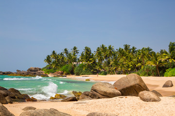  Beautiful beach with palm trees and boulders on the tropical island of Sri Lanka. 