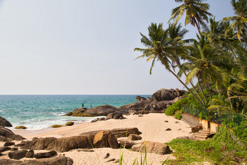  Beautiful beach with palm trees and boulders on the tropical island of Sri Lanka. 