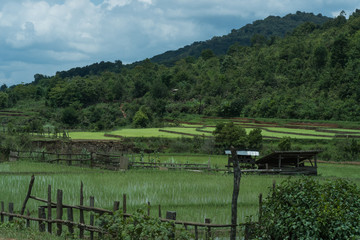 Fields in mountain