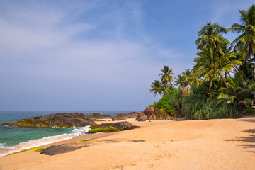  Beautiful beach with palm trees and boulders on the tropical island of Sri Lanka. 