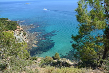 Fototapeta na wymiar Péninsule d'Akamas Chypre Méditerranée 