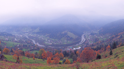 Obraz premium Carpatian mountains at the fog
