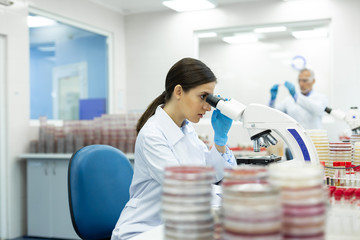 Professional microbiologist working at her scientific project