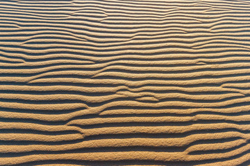 The texture of ripple sand surface