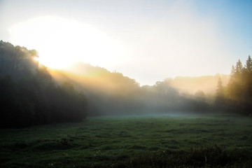 Fototapeta premium Sunrise and morning mist over green meadow in summer