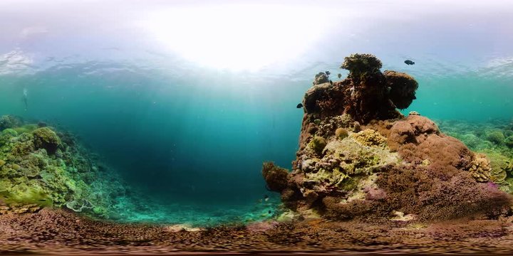 Tropical coral reef seascape with fishes, hard and soft corals. Underwater video. Camiguin, Philippines.