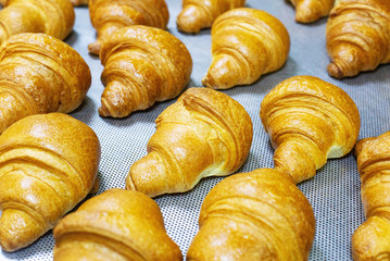 Tasty beautiful croissants with a golden crust on the table, background. Confectionery, traditionally, puff pastry