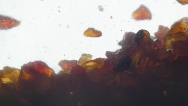 pieces of amber in water falling to the bottom slow motion