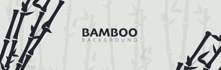 Fototapeta premium Bamboo forest background. Nature of Japan or China.