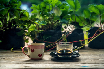 Coffee espresso and Hot tea cup texture   heart on wood table nature background