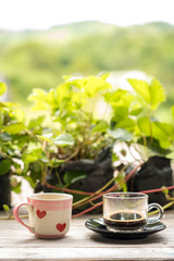Coffee espresso and Hot tea cup texture   heart on wood table nature background