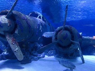 Old drowned vintage aircraft at the bottom under the sea