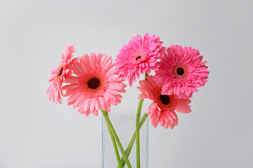 Vase with beautiful gerbera flowers on light background