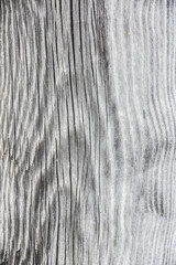 Wooden background. Rustic texture outdoors.