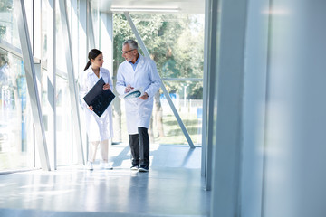 Fototapeta premium Professional medical worker talking to his assistant