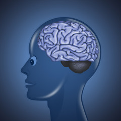 Obraz premium illustration of human brain in the head