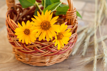 Whicker basket with flowers and dry spikelets of wheat on wooden table.