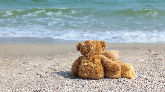 Happy family concept. Tree soft sytuffed  brown toy bears sitting at seashore, hugging happily and looking at bloue water. Real time full hd video footage.