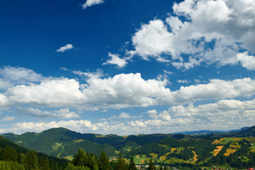 Obraz premium Spruces on hills - beautiful summer landscape, cloudy sky at bright sunny day. Carpathian mountains. Ukraine. Europe. Travel background.