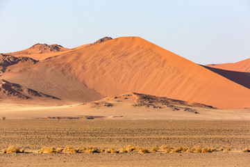 Beautiful red sand dune in the morning light, Namib desert, Namibia