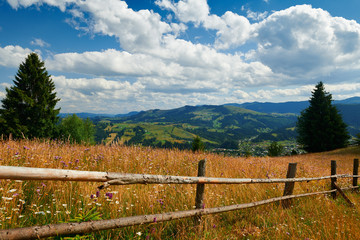 Fototapeta na wymiar Village and spruces on hills - beautiful summer landscape, cloudy sky at bright sunny day. Carpathian mountains. Ukraine. Europe. Travel background.