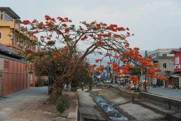 street in the inle lake