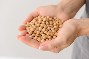 Woman holding raw chickpea on light background, closeup