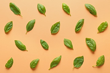 Many basil leaves on color background