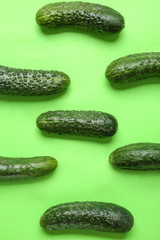 Many ripe cucumbers on color background