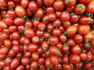 healthy tomatoes at the market