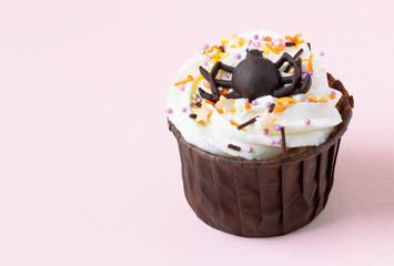Halloween cupcake  on a pink background.
