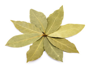 Fototapeta premium Dried bay laurel leaves in flower shape isolated on white background