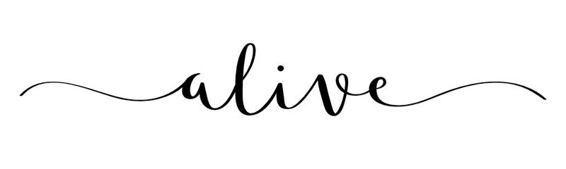 ALIVE vector brush calligraphy banner with swashes
