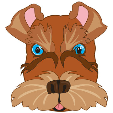 Vector illustration of the cartoon of the mug of the dog scnauzer