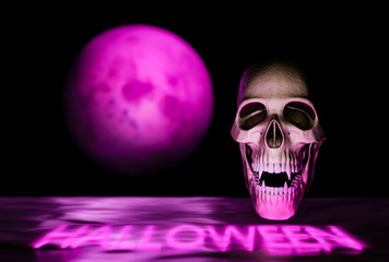 Vampire skull on black with pink moon, Halloween background concept - 3d render
