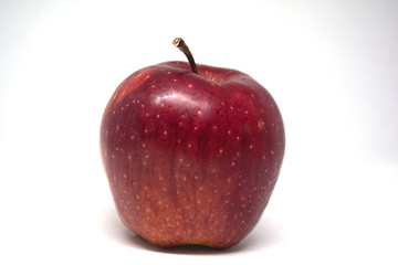 Obraz na płótnie Canvas red apple isolated on white background