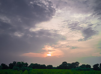 sunset over green field