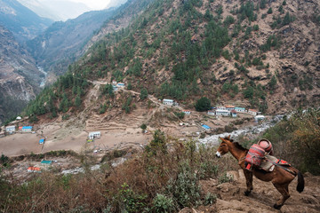hiking in the mountains