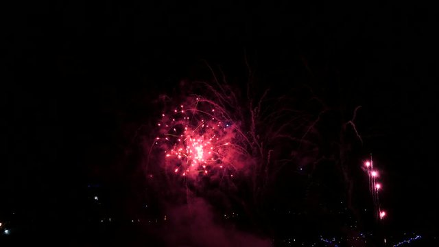 Colourful fireworks in the night sky