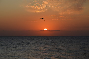 Bulgaria, Golden Sands, Sunrise