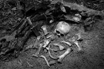 The skull and pile of bone in pit the old graveyard discover by dig in cemetery