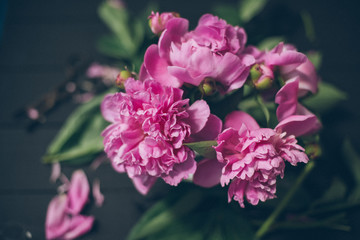 Pink pions on the vase