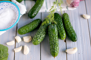 Sold cucumbers in the bank