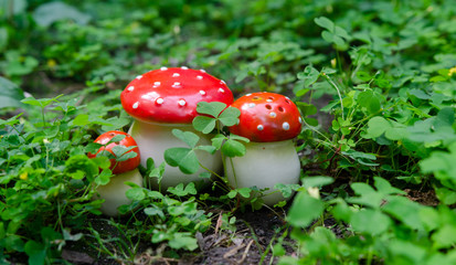 Old fayence mushroom set in a cloverfield - mushroom in red hat with white dots shape porcelain spice racs on white background - vintage mass production object