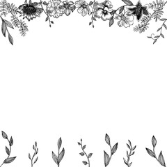 Floral frame top and bottom. Black-white hand-drawn illustration of realistic colors. Small graceful plants with black contour isolated on white. Can be used for invitation cards, banners, flyers.