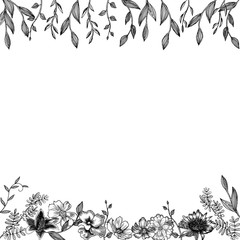 Fototapeta premium Floral frame top and bottom. Black-white hand-drawn illustration of realistic colors. Small graceful plants with black contour isolated on white. Can be used for invitation cards, banners, flyers.