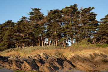 C&ocirc;te de l'Ile d'Yeu