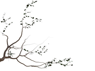 Bonsai Baum ausschnitt I Decoration element